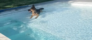 Piscina con Spiaggetta